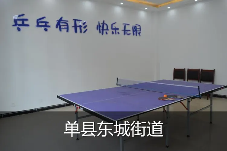 单县东城街道