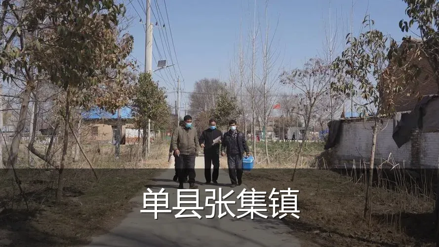 单县张集镇
