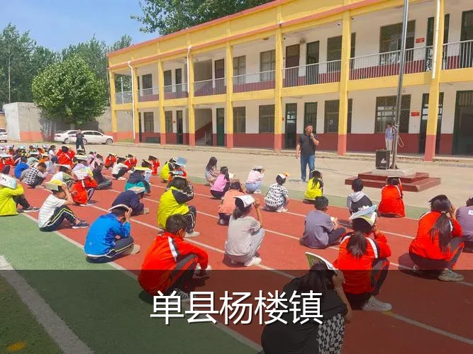 单县杨楼镇
