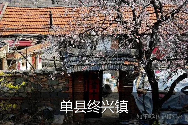 单县终兴镇