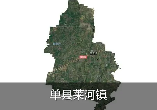 单县莱河镇