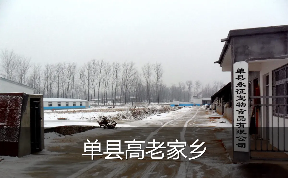 单县高老家乡