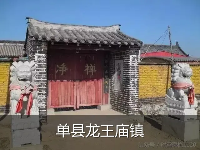 单县龙王庙镇